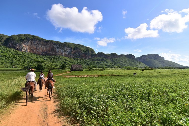 Thung lũng Vinales 